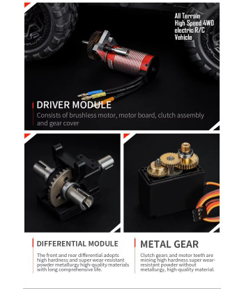 Hoshi 1/8 RC Raptor II elettrico RTR 100km/h