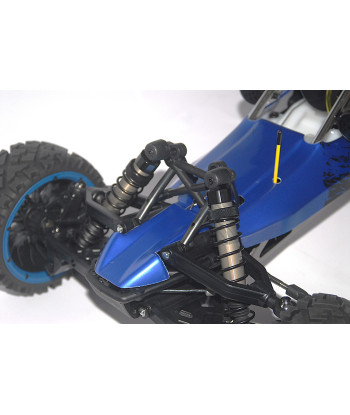 Rofun Baha 360  2 WD categoria 1/5 Nitro Motore Rovan 36 cc 2.4 GHz  Blu
